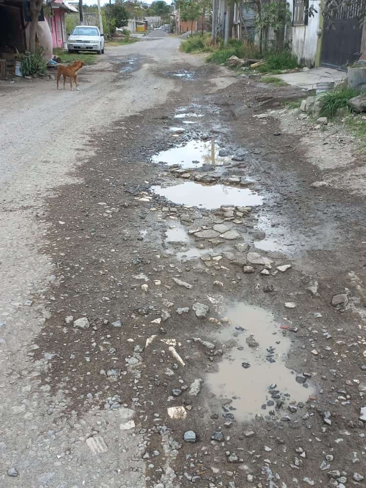 Colonia Las Bajadas, entre la basura, maleza y baches en Veracruz