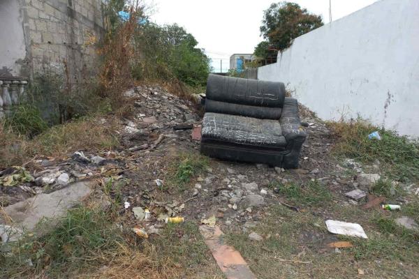 Colonia Las Bajadas, entre la basura, maleza y baches en Veracruz