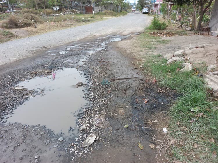 Colonia Las Bajadas, entre la basura, maleza y baches en Veracruz