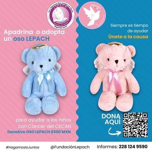 Para trasplantes de médula ósea, sigue adopción de ositos de peluche en Xalapa