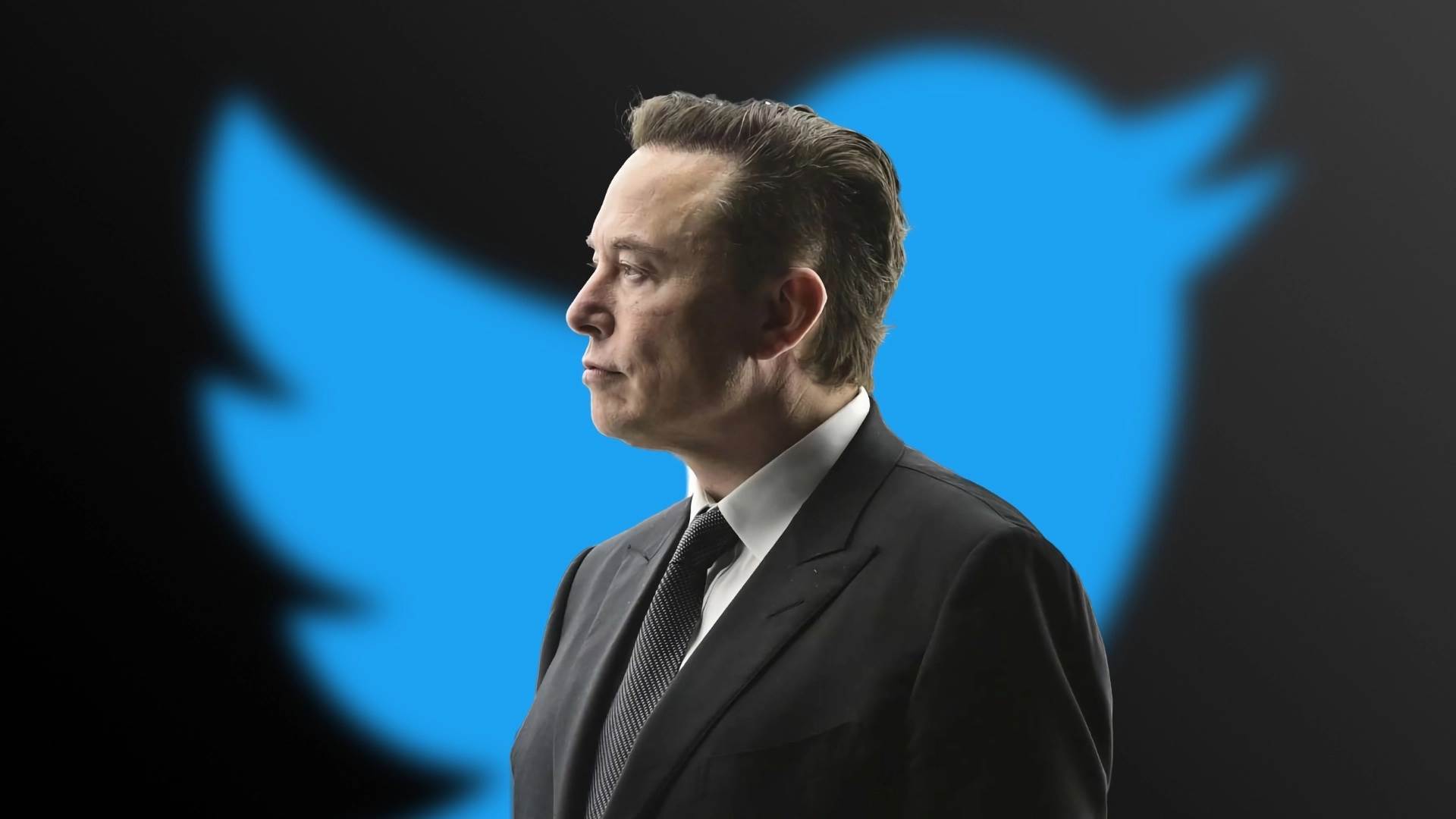 Millones de usuarios de Twitter votan fuera a Elon Musk