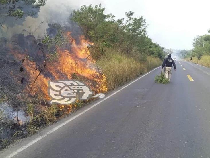 Incendio forestal moviliza a cuerpos de emergencia en Alto Lucero