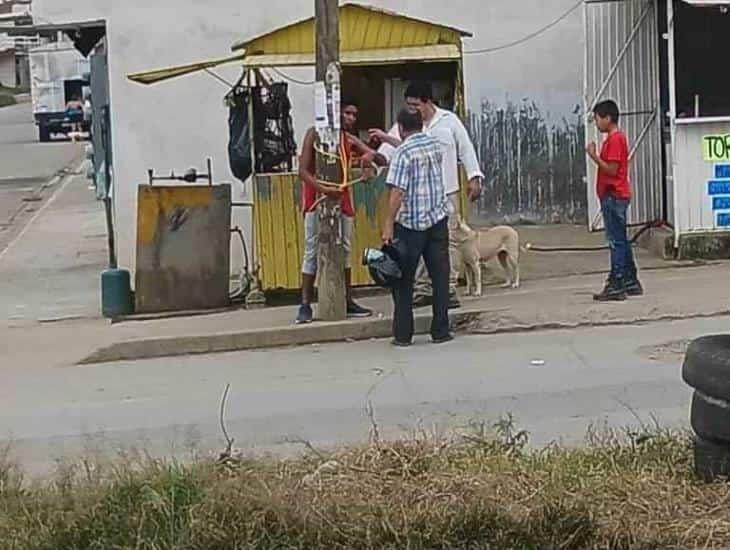 Lo amarraron como... En Xalapa, habitantes de Homex dejan en un poste a supuesto ladrón