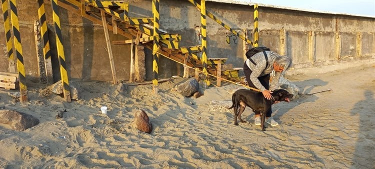 Rescatan a perrito en playa de Boca del Río; lo adoptan turistas