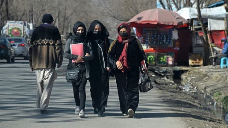 ¡Alarmante!; Talibanes prohíben a las mujeres estudiar la universidad