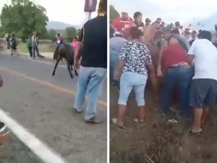 Sangrienta rapiña; tráiler con reses vuelca en carretera de Chiapas (+Video)