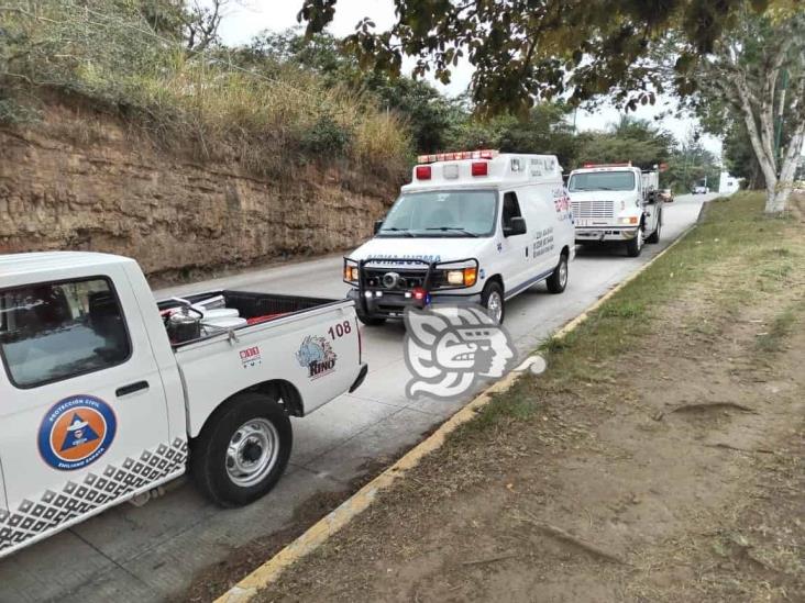 Choca auto contra árbol en bulevar Porfirio Díaz de  Xalapa