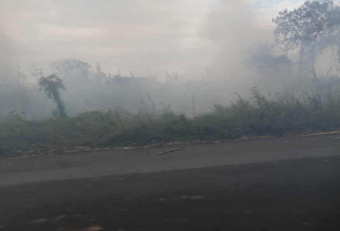 Quema de caña provoca denso humo en carretera de Úrsulo Galván