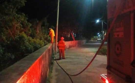 ¡Por Cohetes! Niños incendian lote baldío en Alvarado al jugar con pirotecnia