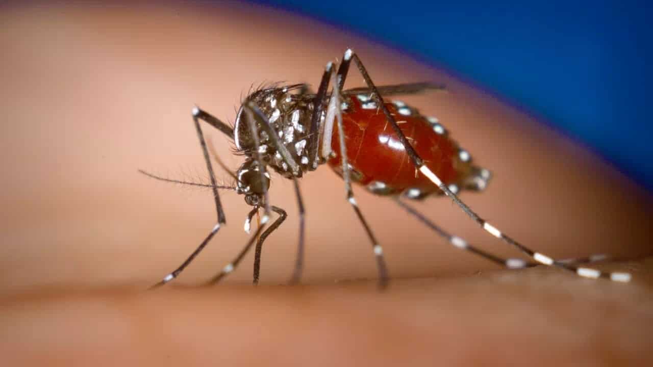 Se incrementaron los casos y defunciones por dengue en Veracruz