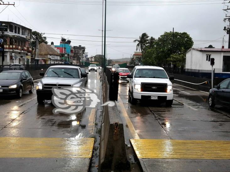 Norte tira árbol y poste en Coatzacoalcos; cierran Túnel por volcadura (Video)