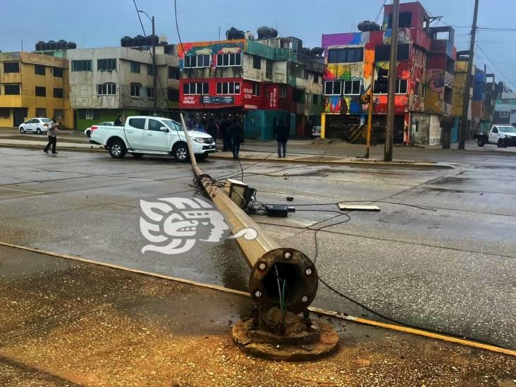 Norte tira árbol y poste en Coatzacoalcos; cierran Túnel por volcadura (Video)