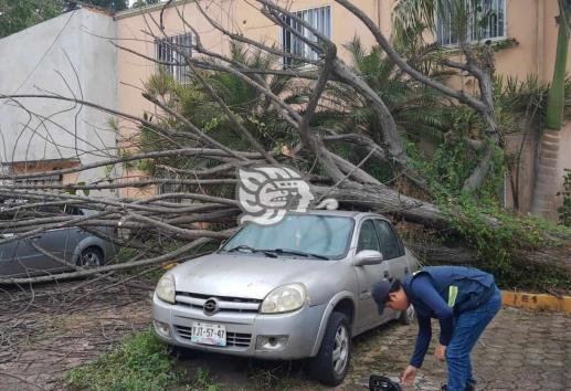 Impacta FF 19 zona de Poza Rica; activan refugio temporal