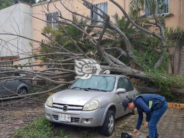 Impacta FF 19 zona de Poza Rica; activan refugio temporal