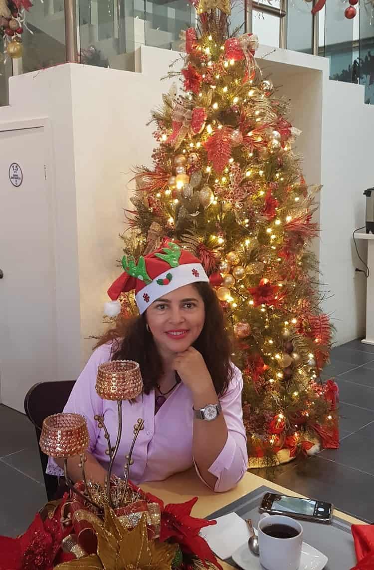 Felices fiestas decembrinas