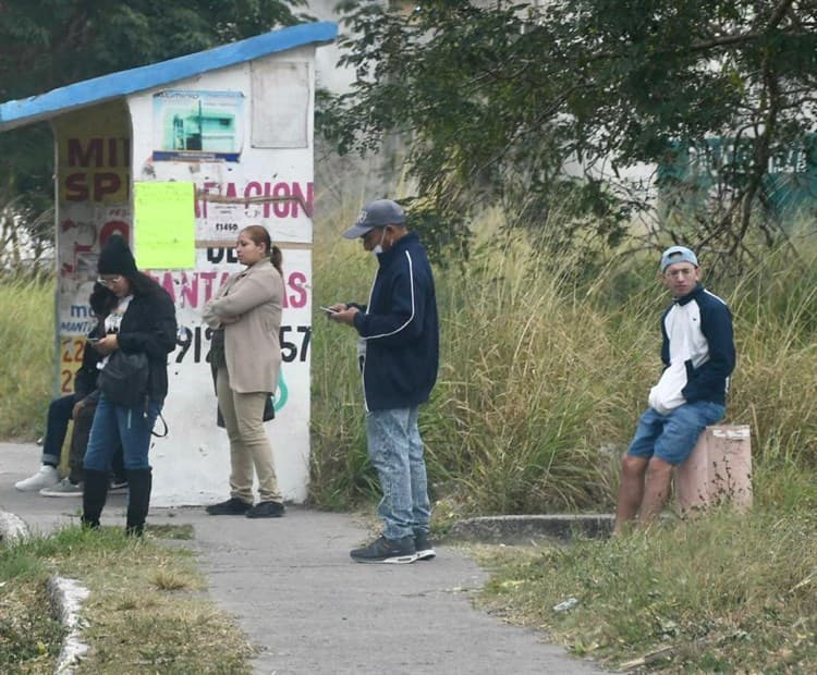 Se acumula basura navideña en Puente Moreno