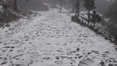 Se registra la primera nevada en el Cofre de Perote (+Video)