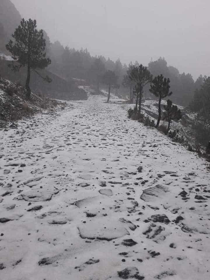 Se registra la primera nevada en el Cofre de Perote (+Video)