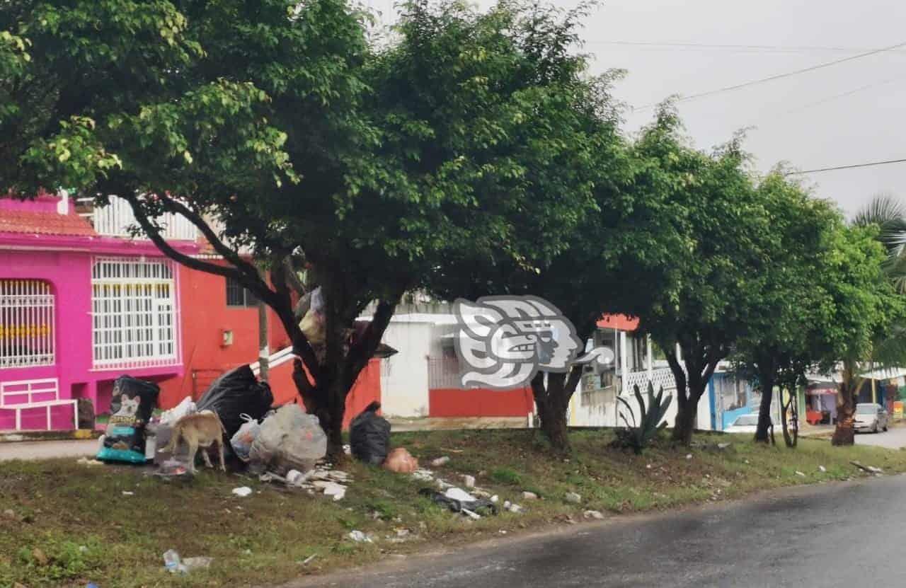 Recolectan más de 28 toneladas de basura en Nanchital