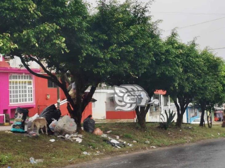 Recolectan más de 28 toneladas de basura en Nanchital