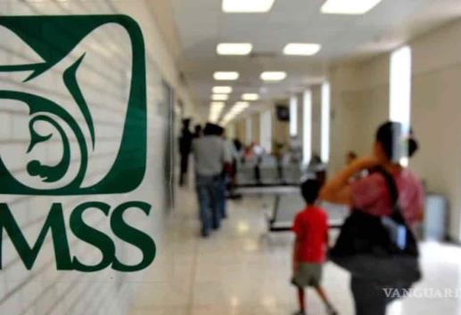 IMSS Veracruz Norte: reporte anual