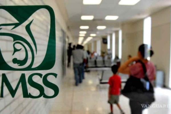 IMSS Veracruz Norte: reporte anual