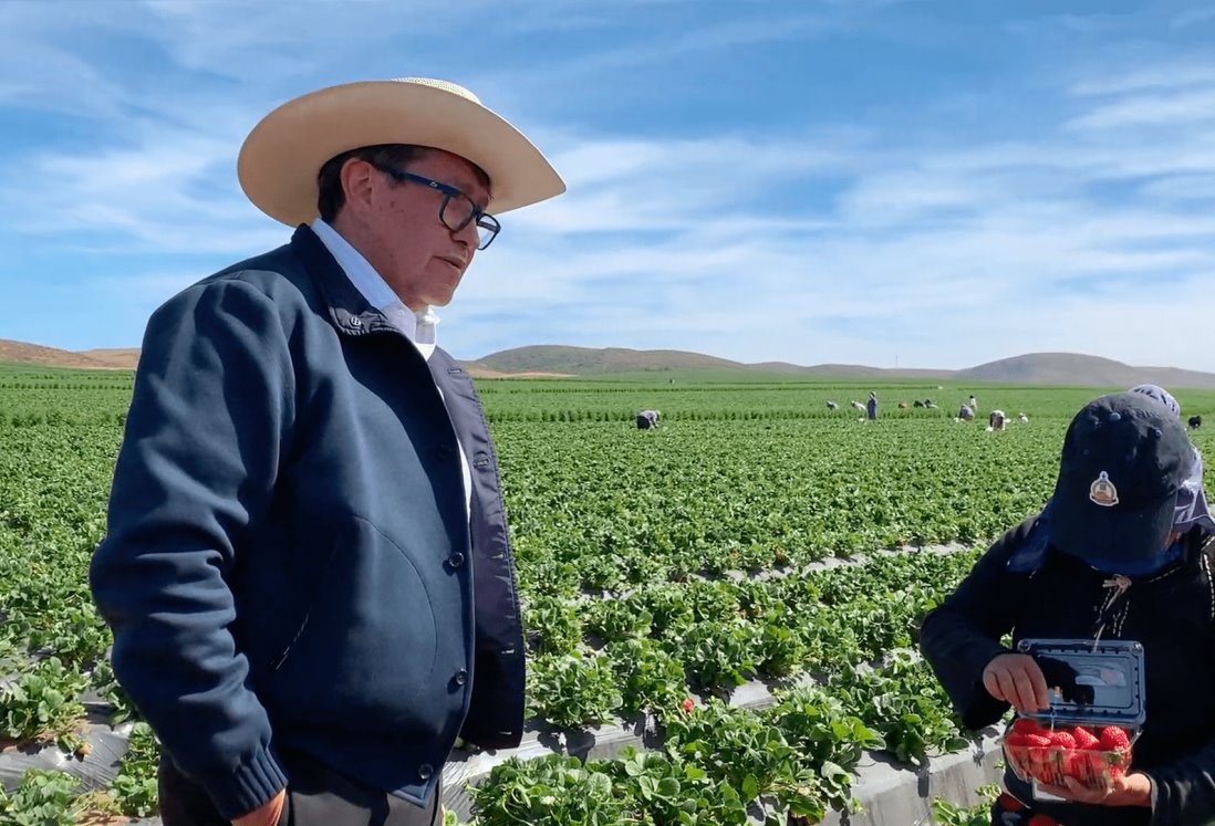 Seguridad del campo mexicano, prioridad de Ricardo Monreal