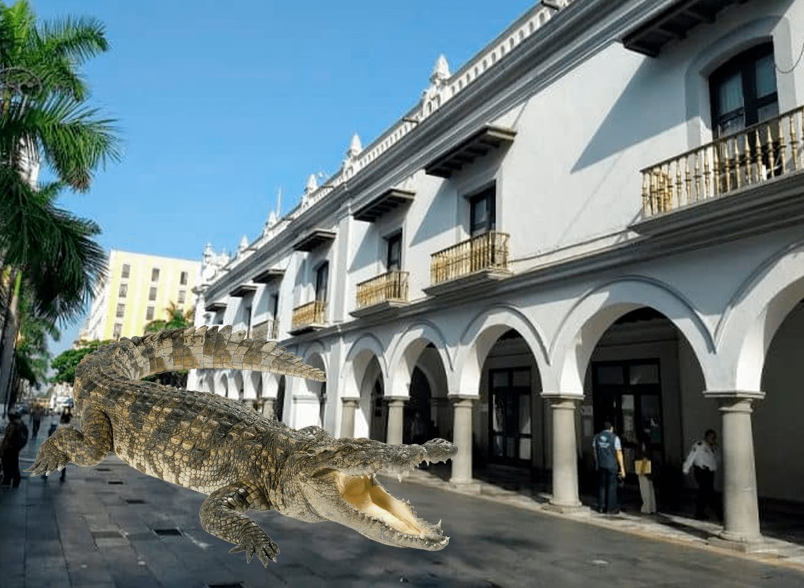 Sorprende cocodrilo en el Zócalo de Veracruz; se salió de la laguna Malibrán