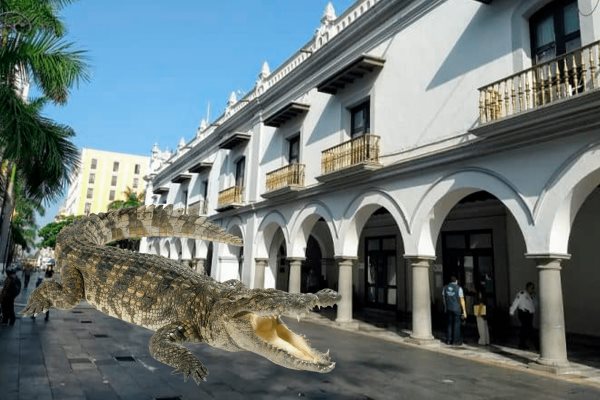 Sorprende cocodrilo en el Zócalo de Veracruz; se salió de la laguna Malibrán
