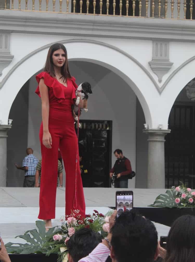 Miss Earth Veracruz realiza tierna pasarela con mascotas