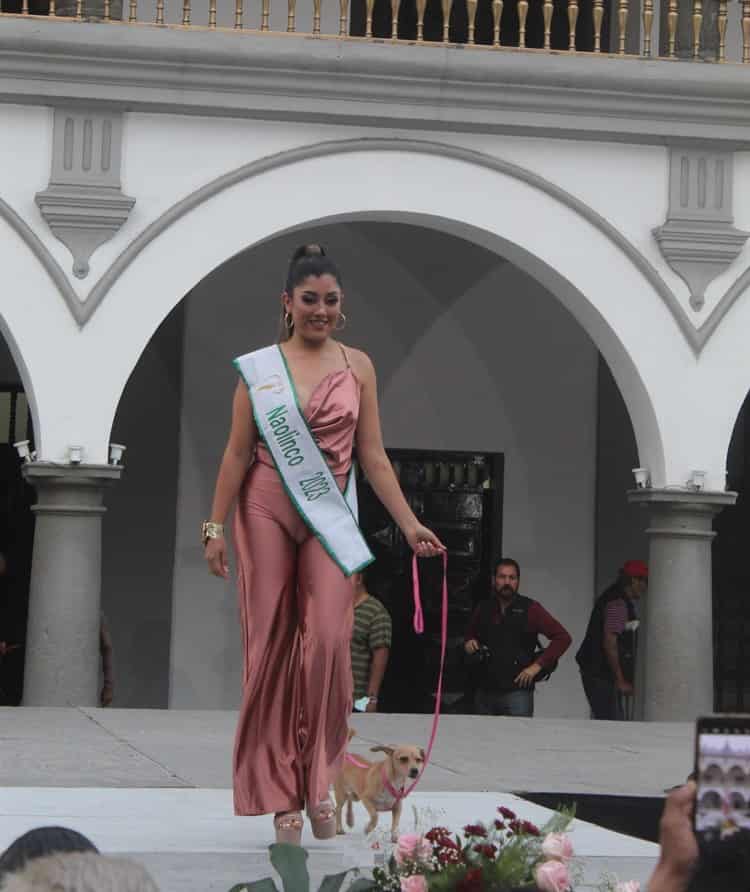 Miss Earth Veracruz realiza tierna pasarela con mascotas