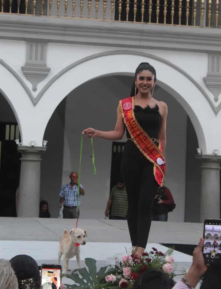 Miss Earth Veracruz realiza tierna pasarela con mascotas