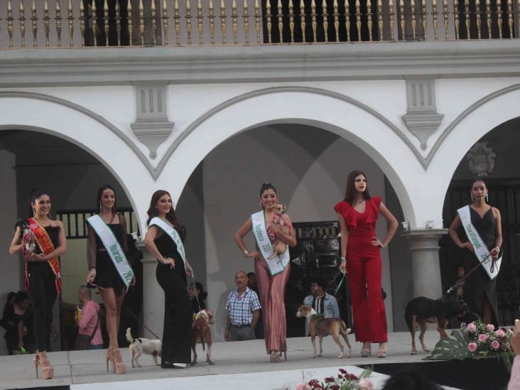 Miss Earth Veracruz realiza tierna pasarela con mascotas