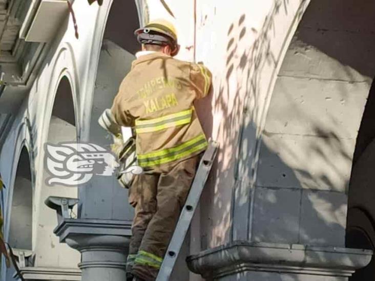 Bomberos controlan fuga de gas en conocido café del centro de Xalapa