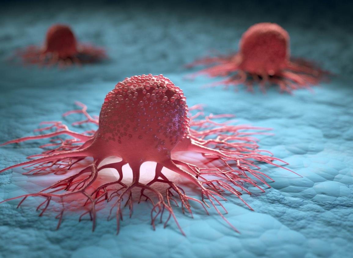 Apuestan por ‘Gemelas digitales’; permitirán afinar los tratamientos contra el cáncer