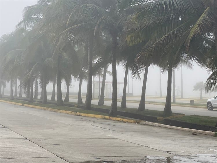 Amanece Coatzacoalcos con densa neblina (Video)