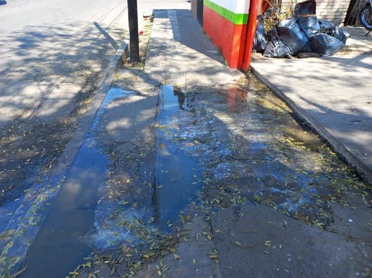 Urgen a CAB por aguas negras estancadas en Boca del Río