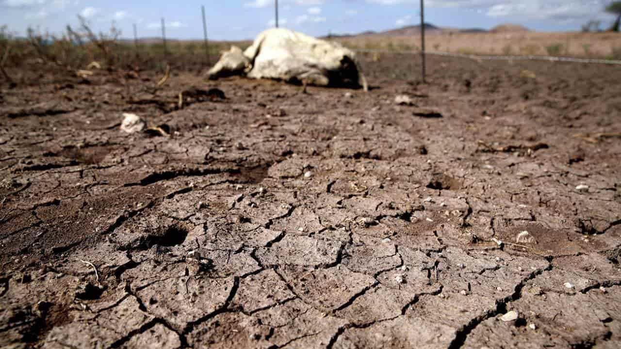 2022, segundo año con menor lluvia acumulada desde 1981: Conagua