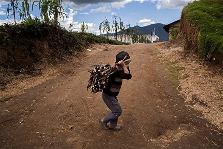 EU verifica que no haya explotación laboral infantil en el medio rural de Veracruz