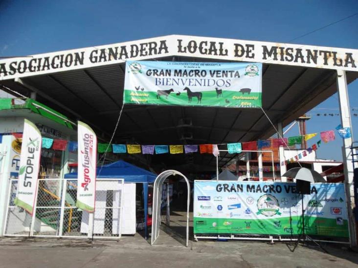 Cierran en Misantla el 2022 con precios bajos en ganado