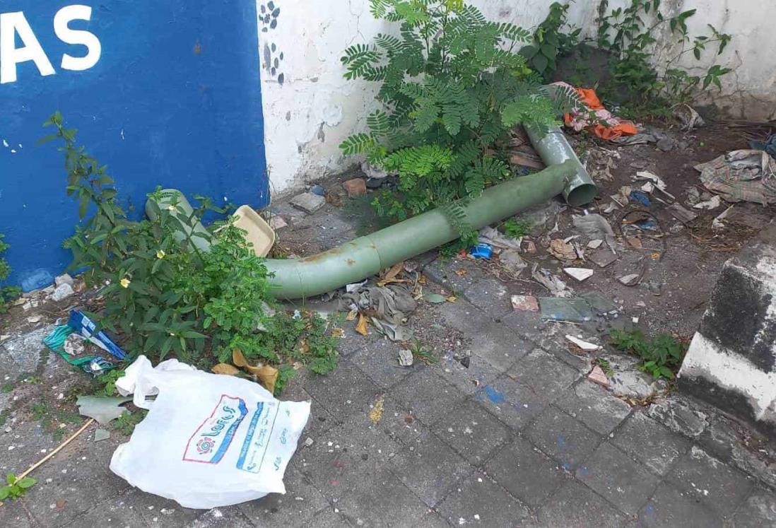 Llaman a reparar registros y postes en Centro de Veracruz