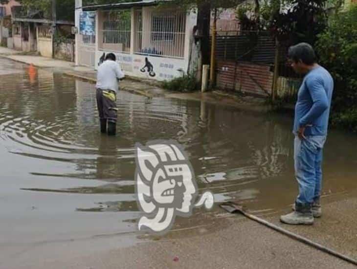 Foco de infección en las calles de Las Choapas