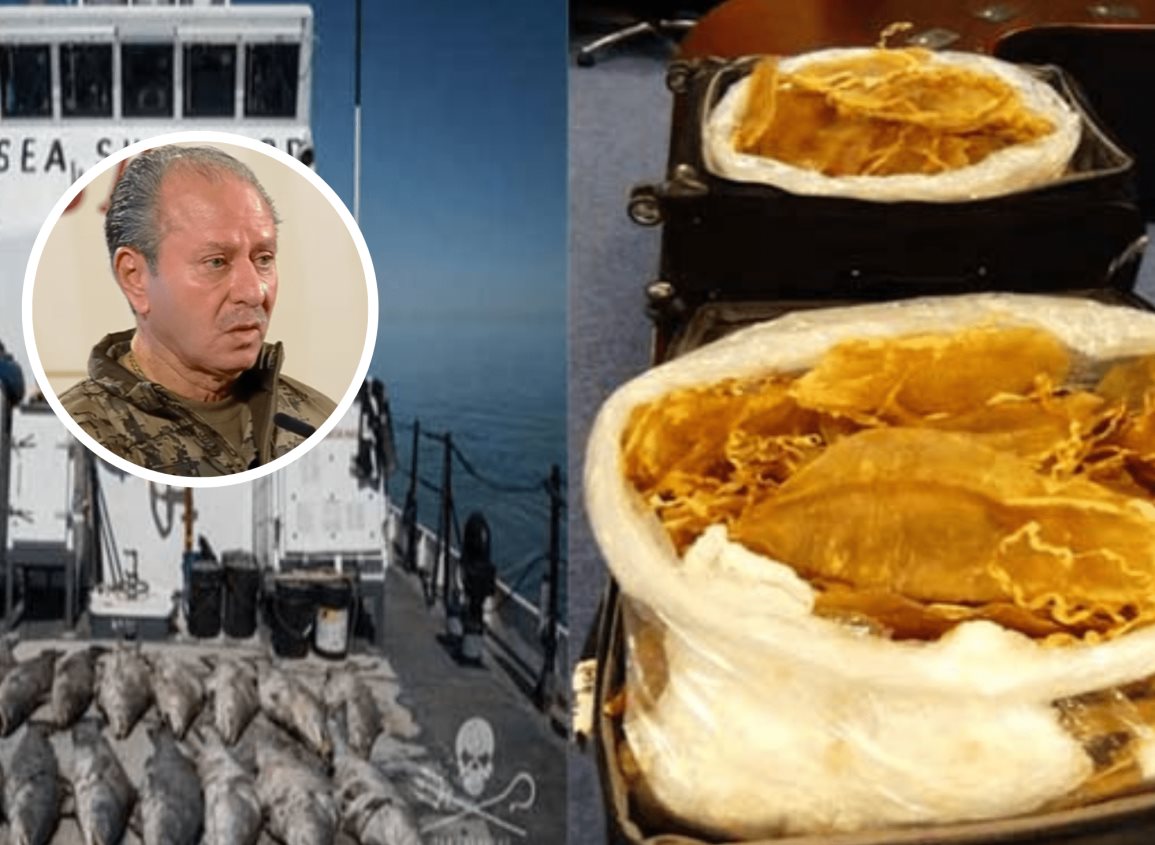 Semar desarticula el Cártel de la Totoaba; traficaba Vaquitas Marinas