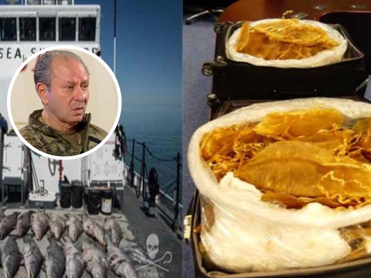 Desarticula Semar al Cártel de la Totoaba; traficaba vaquitas marinas