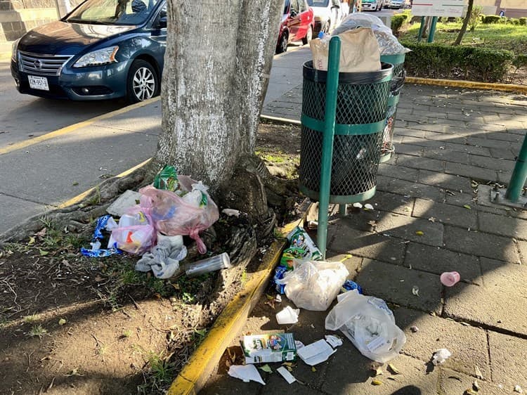 En Xalapa, vecinos y pepenadores convierten el parque Morelos en un basurero