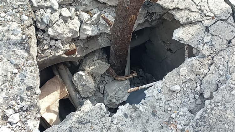 Con ramas, habitantes señalizan una banqueta en mal estado en calles del centro de Veracruz