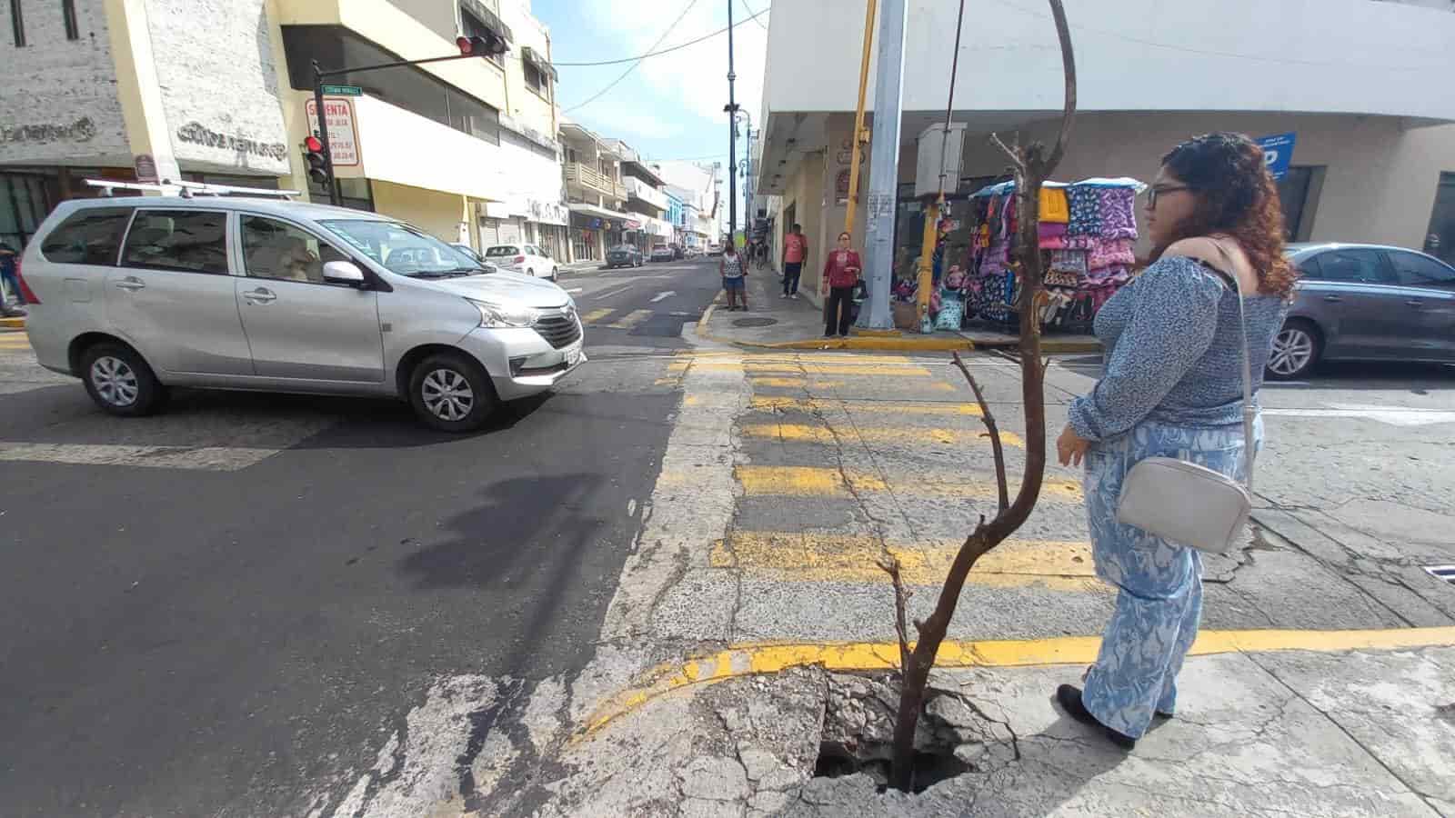 Con ramas, habitantes señalizan una banqueta en mal estado en calles del centro de Veracruz