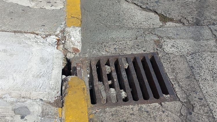 Con ramas, habitantes señalizan una banqueta en mal estado en calles del centro de Veracruz