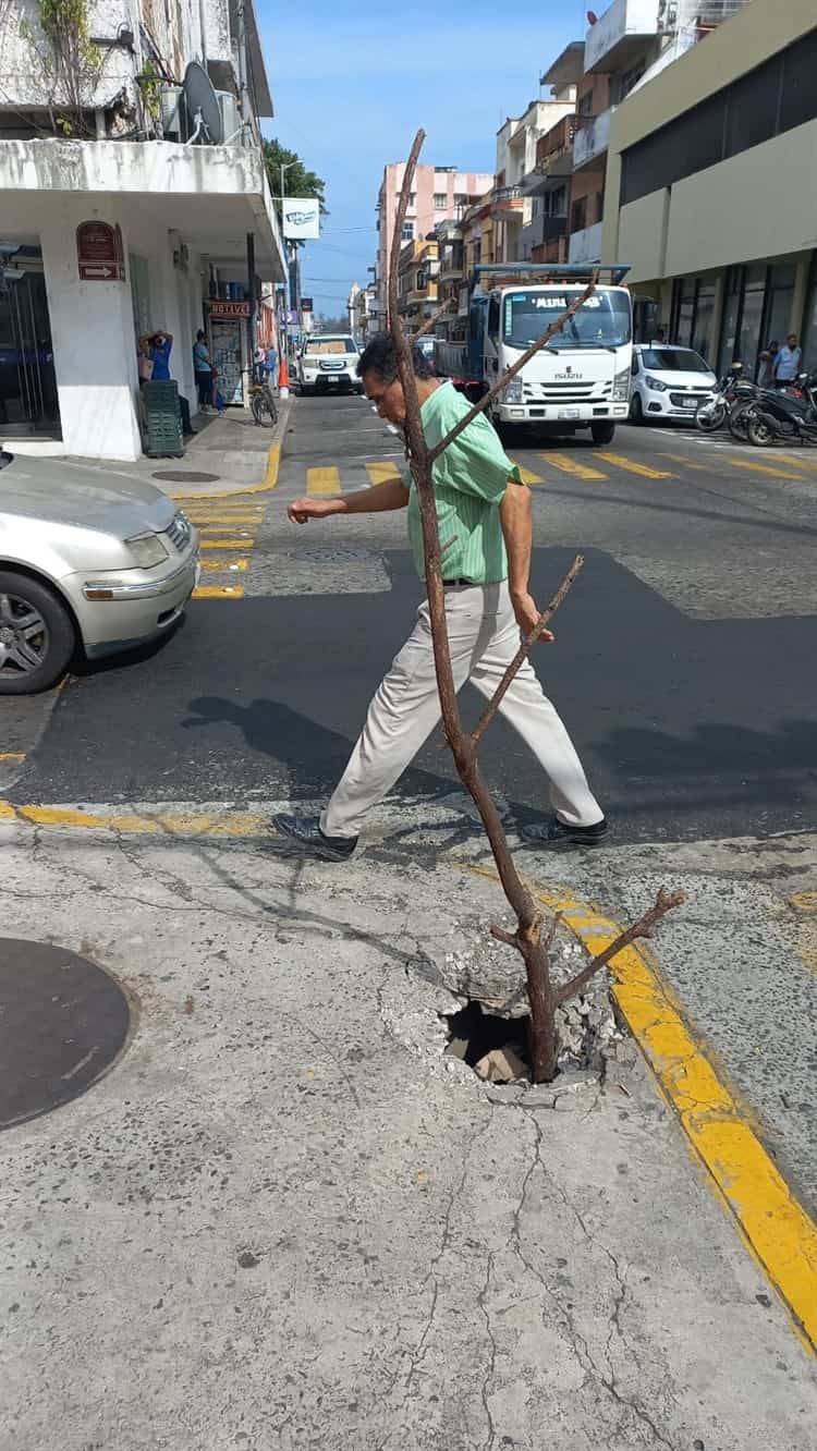 Con ramas, habitantes señalizan una banqueta en mal estado en calles del centro de Veracruz