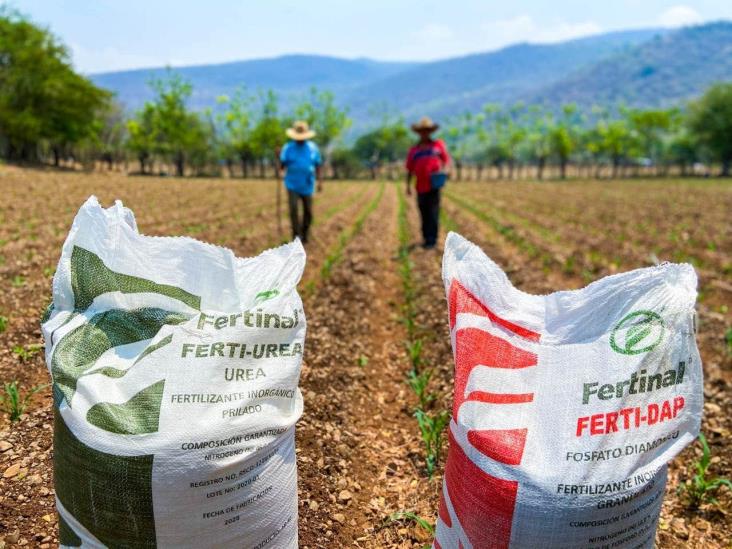 Más de 800 mil productores serán beneficiados con Fertilizantes para el Bienestar en 2023